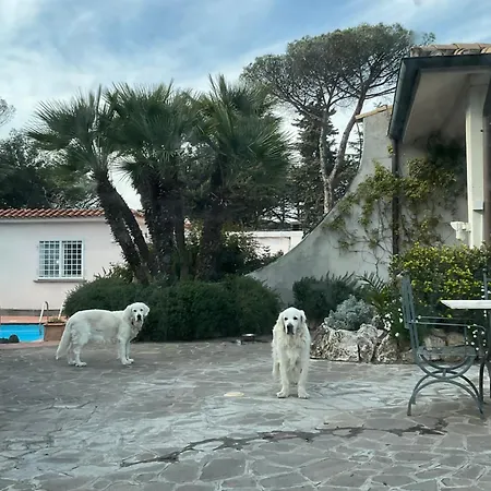 Villa Di Lusso Con Piscina *
