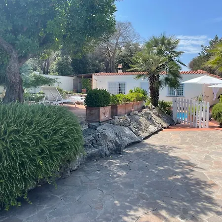 Villa Di Lusso Con Piscina