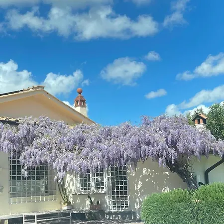 Di Lusso Con Piscina * Roma