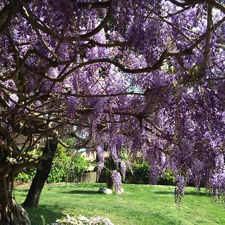 Di Lusso Con Piscina *